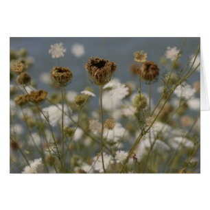 Flores salvajes