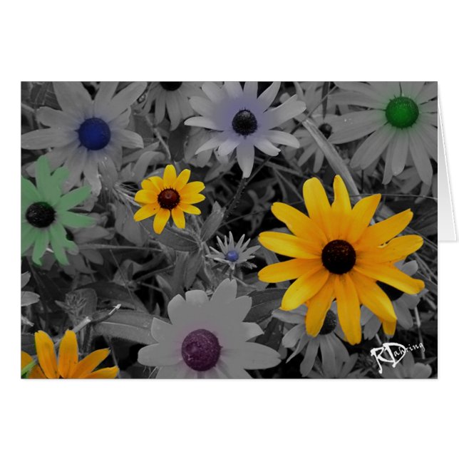 Flores salvajes (Anverso (Horizontal))