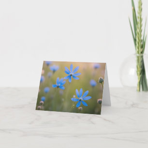 Flores salvajes azules en la pradera