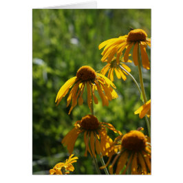 Flores salvajes doradas