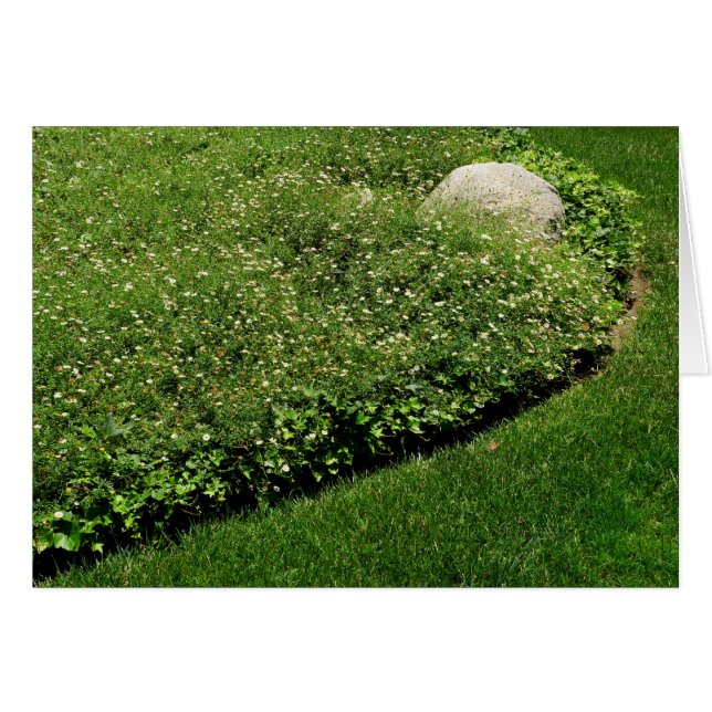 Flores salvajes Grasa verde (Anverso (Horizontal))