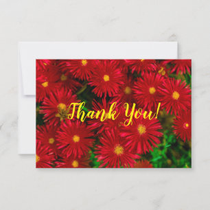 Flores salvajes rojas brillantesGracias tarjeta pl
