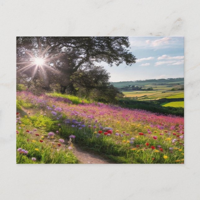 Flores salvajes soleadas en la postal de vacacione (Anverso)