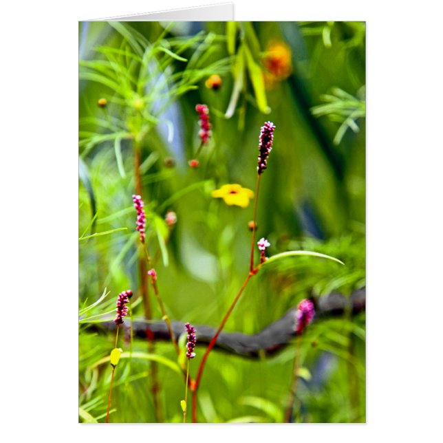 Flores silvestres (Frente)