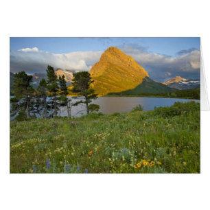 Flores silvestres a lo largo del lago Swiftcurrent