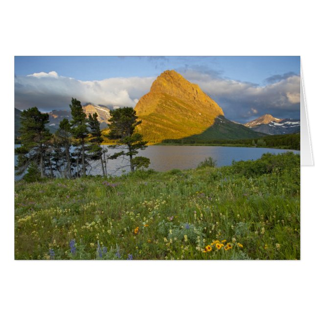 Flores silvestres a lo largo del lago Swiftcurrent (Anverso (Horizontal))