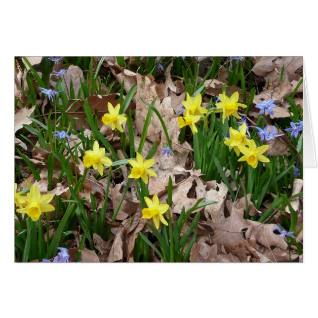 Flores silvestres amarillas (Anverso (Horizontal))