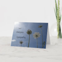 Flores Silvestres Blancas. Tarjeta de felicitación