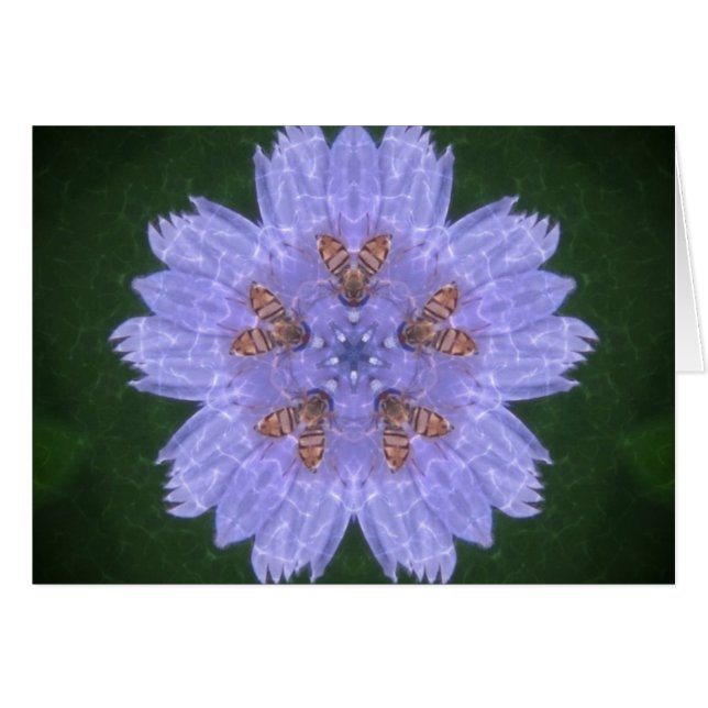 Flores silvestres con abejas (Anverso (Horizontal))