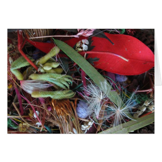 Flores silvestres de Australia (Anverso (Horizontal))