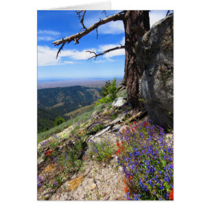 Flores silvestres de Idaho
