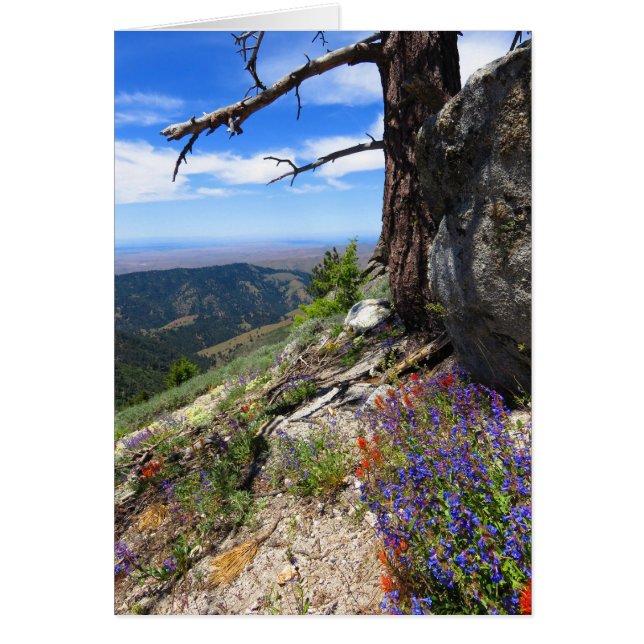 Flores silvestres de Idaho (Frente)