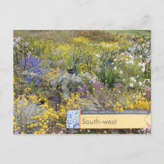 Flores silvestres de la postal de Australia Occide