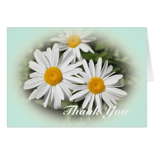 flores silvestres de margarita blanca gracias (Anverso (Horizontal))