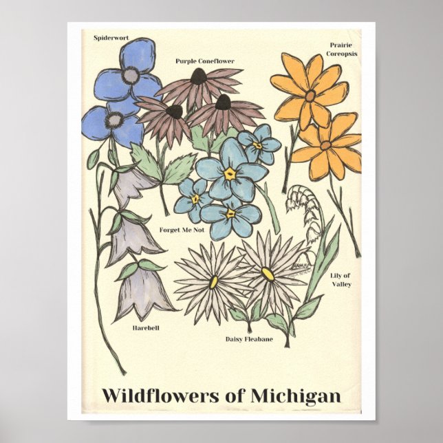 Flores silvestres de Michigan Impresión de arte di (Frente)