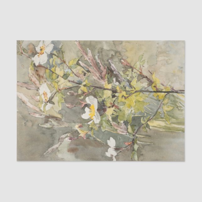 Flores silvestres de papel tisular de Barbara Bodi (Anverso)