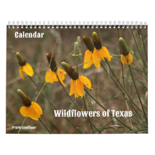 Flores silvestres del calendario de Texas