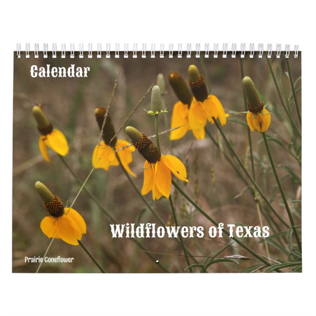Flores silvestres del calendario de Texas (Tapa)