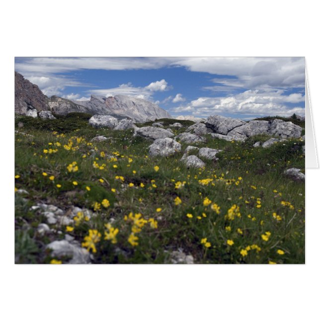 Flores silvestres Dolomitas (Anverso (Horizontal))