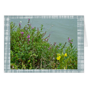 Flores silvestres en el embalse de Green Lane