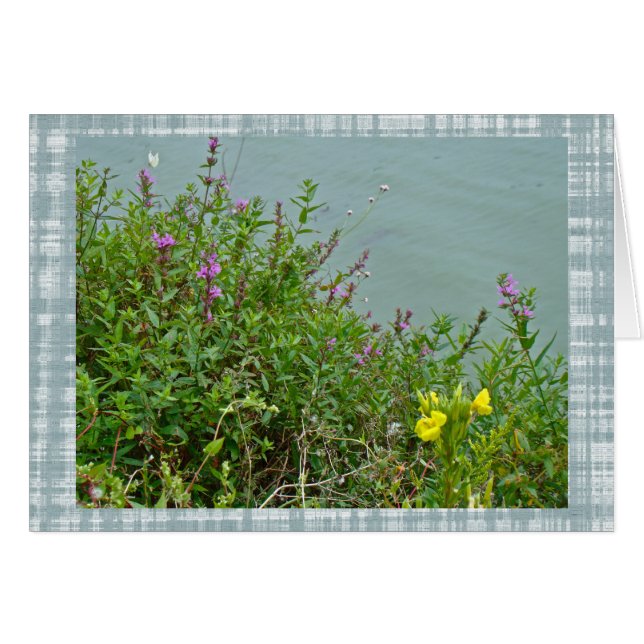 Flores silvestres en el embalse de Green Lane (Anverso (Horizontal))