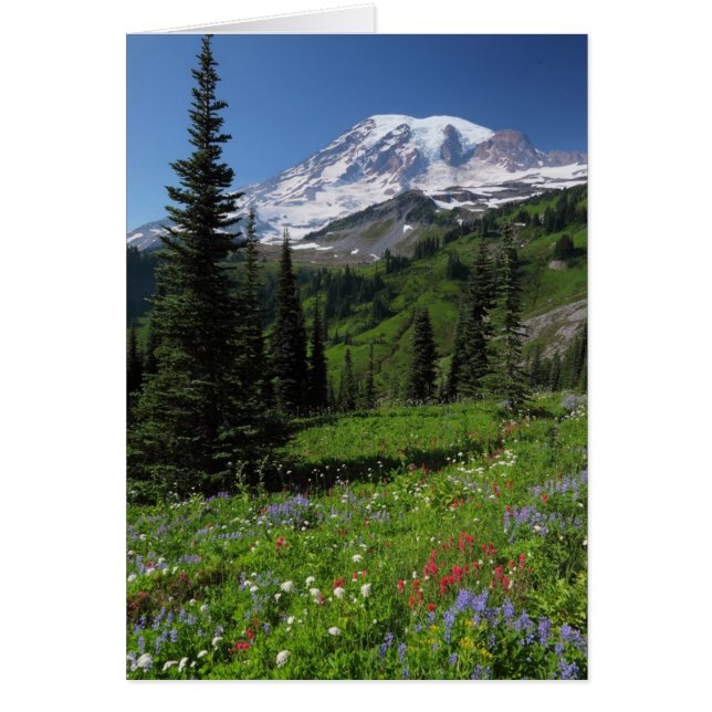 Flores silvestres en el Monte Rainier (Frente)