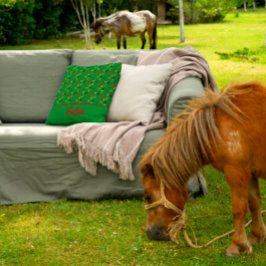 Flores silvestres patrón amapola almohada de lanza