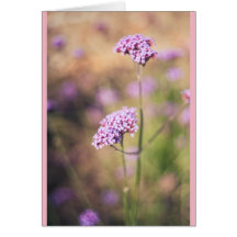 Flores silvestres rosadas