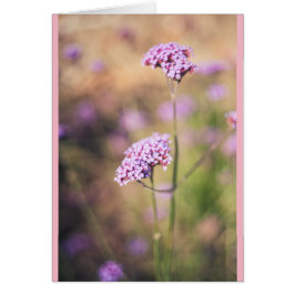 Flores silvestres rosadas