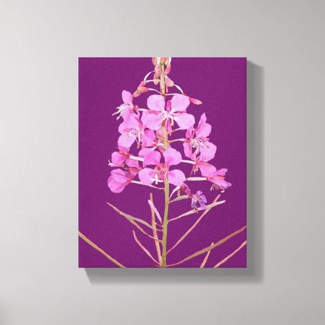 flores silvestres rosadas floridas arte moderno fi (Anverso)