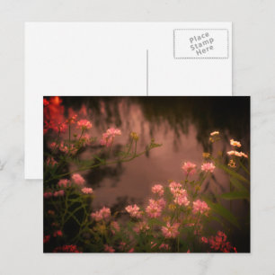 Flores silvestres rosadas postal de flores con asp