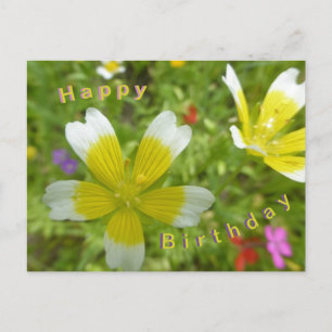 Flores Silvestres: Tarjeta de Feliz Cumpleaños Bla