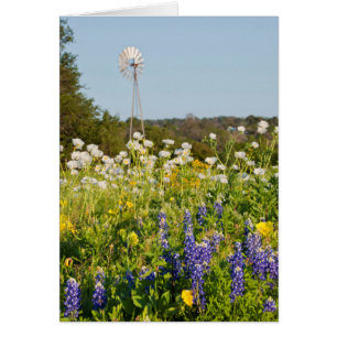 Flores silvestres y molino de viento en Texas Hill