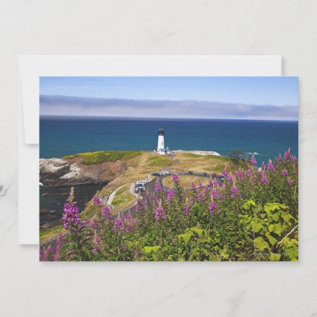 Flores silvestres y yaquina (Anverso)