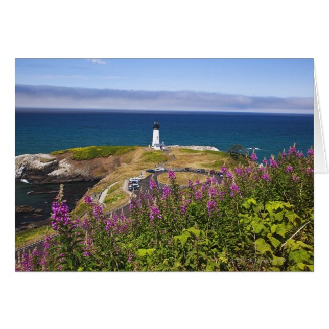 Flores silvestres y yaquina (Anverso (Horizontal))