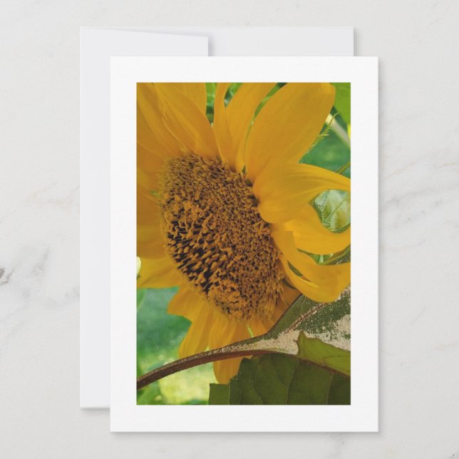 Flores soleadas: Invitación Personalizado (Anverso)