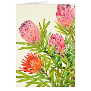 Flores tropicales acuarelas