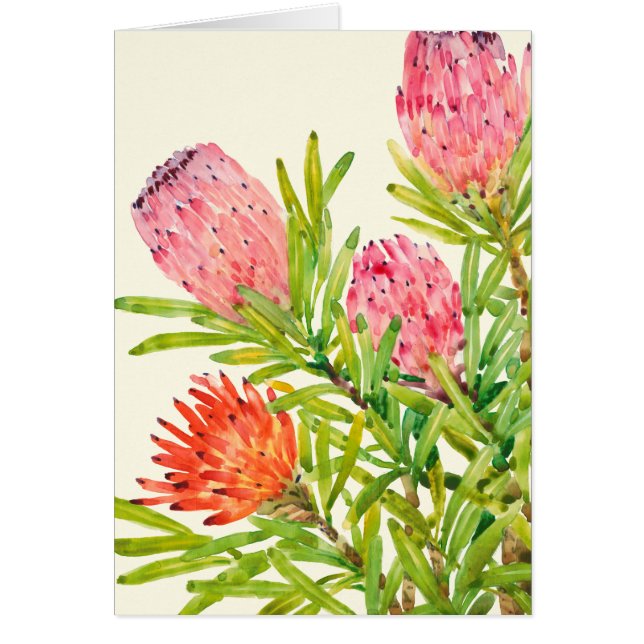 Flores tropicales acuarelas (Frente)