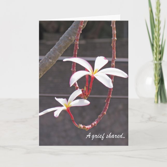 Flores tropicales de tarjetas de simpatía (Anverso)