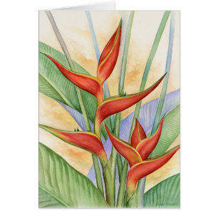 Flores tropicales rojas de Heliconia que pintan -