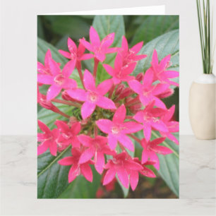 Flores tropicales rosadas brillantes tarjeta de fe