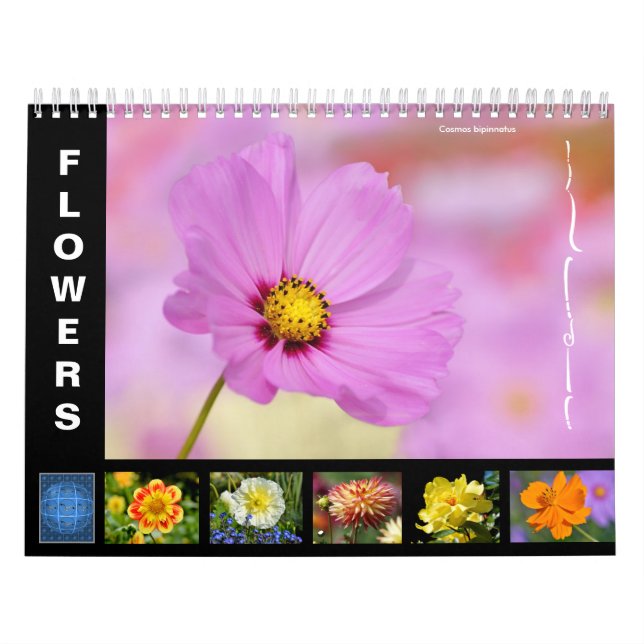 Flores variadas calendario de 12 meses (Tapa)