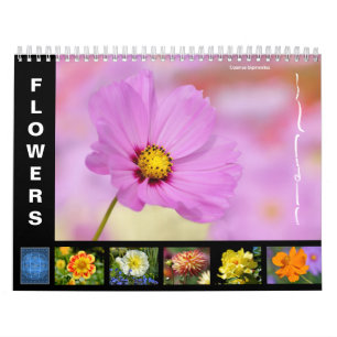 Flores variadas calendario de 12 meses