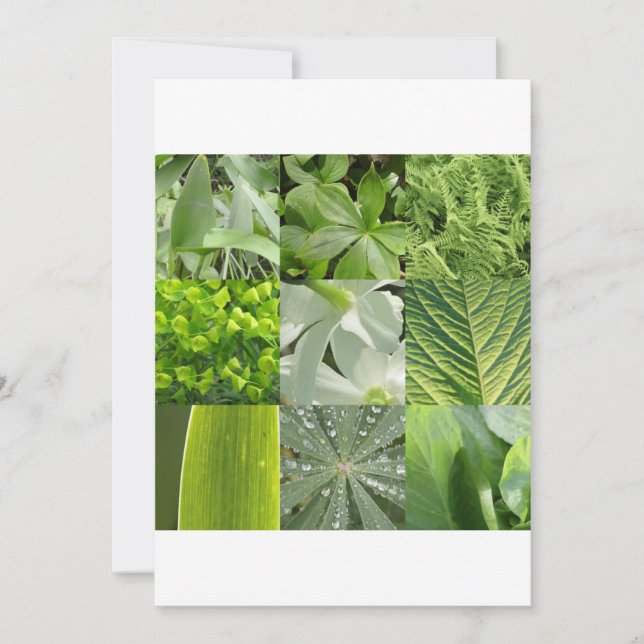 Flores verdes (Anverso)