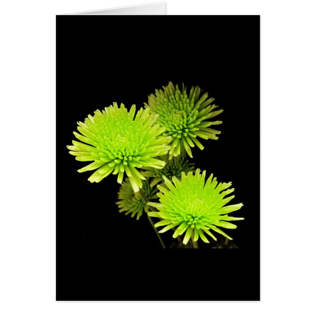 Flores verdes (Frente)