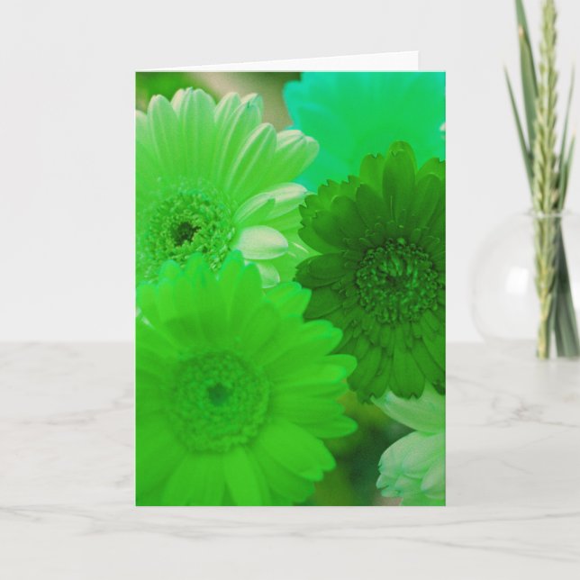 Flores verdes de margarita o tarjetas de felicitac (Anverso)