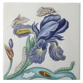 flores vintage lindas e insectos azulejos de cerám