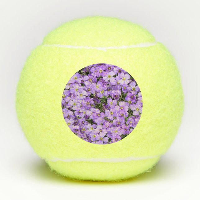 Flores violetas, bolas de tenis, hermosas violetas (Anverso)