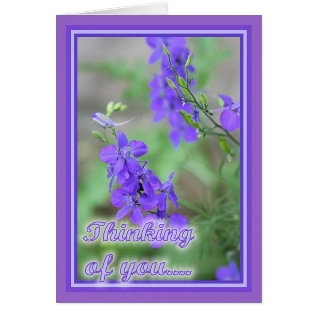 Flores violetas silvestres (Frente)