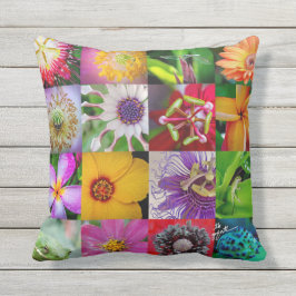 Flores y almohada de las criaturas